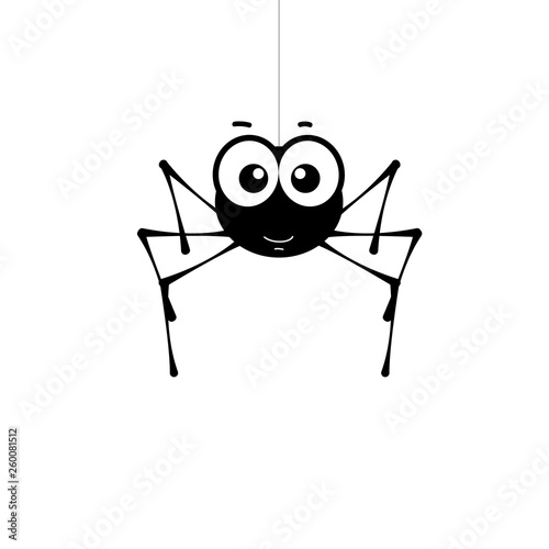Smiling small spider