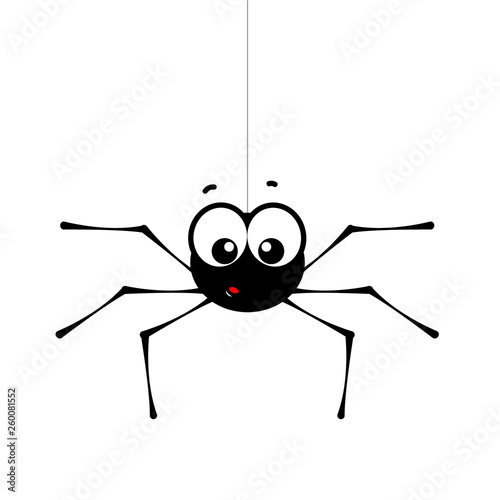 Surprised small spider