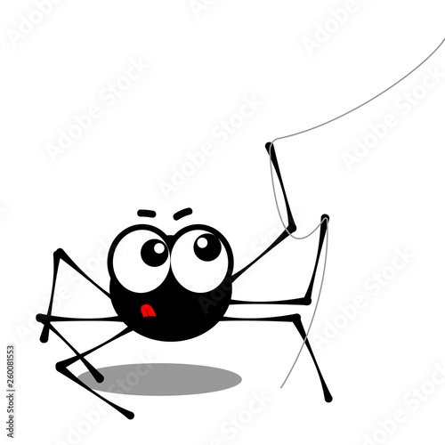 Busy small cute spider