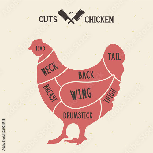 Meat cuts - chicken. Diagrams for butcher shop. Scheme of chicken. Animal silhouette chicken. Guide for cutting.