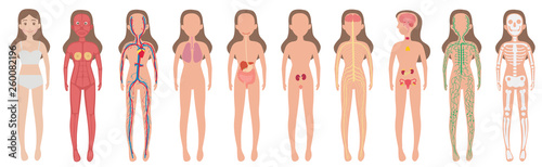 Body System Woman Human Set
