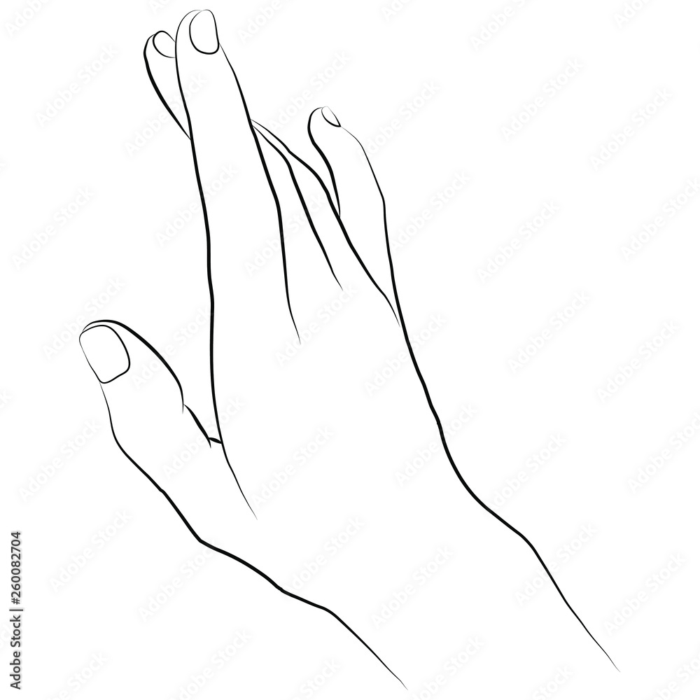Vector illustration of hand in simple outline style Vector illustration of hand in simple outline style