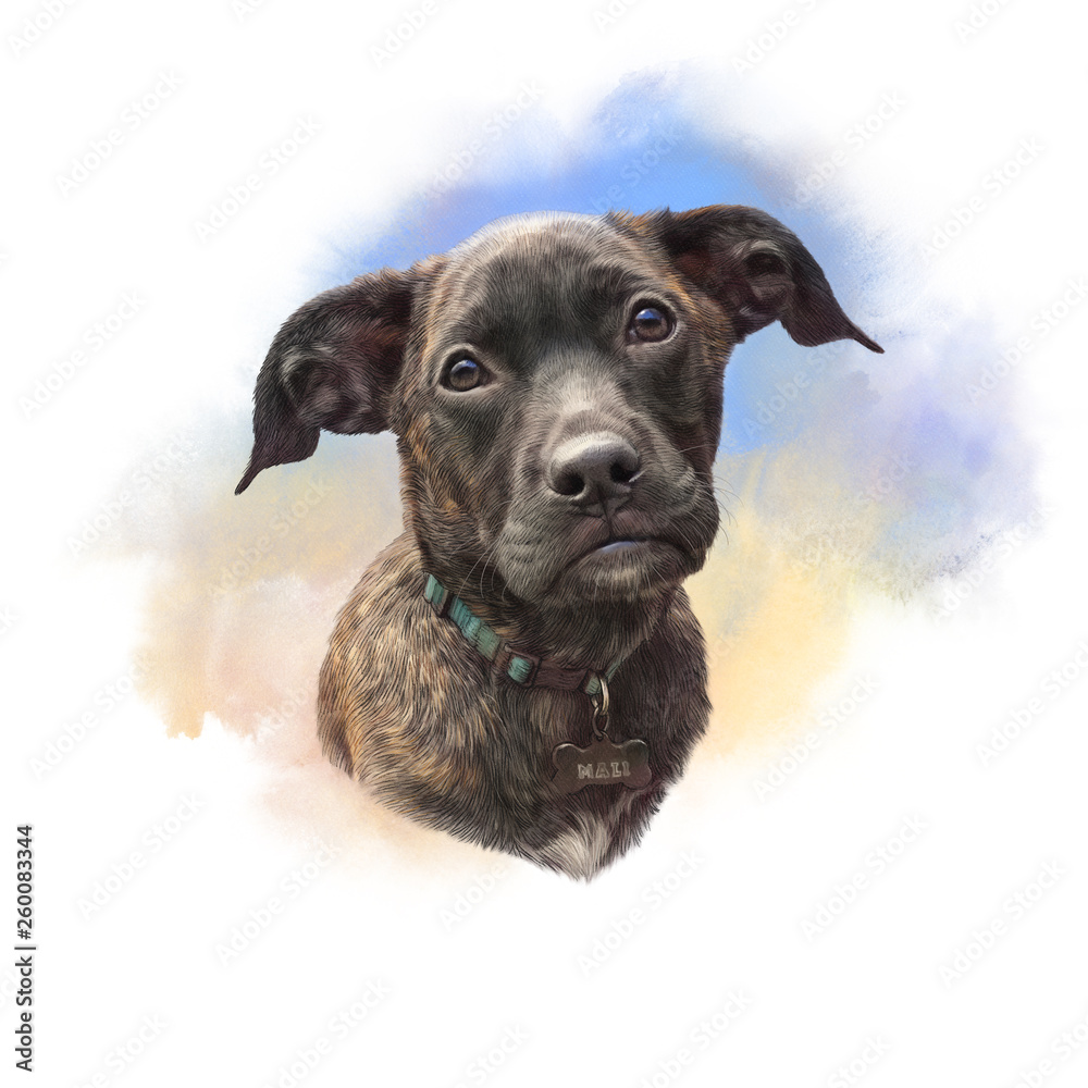 Cute small puppy on watercolor background. Animal collection: Dogs. Watercolor Dog Portrait - Hand Painted Illustration of Pets. Art background for design of banner, T-shirt
