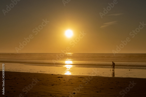 Using a metal detector to search for hidden treasure on a beach at sunset © Anders93
