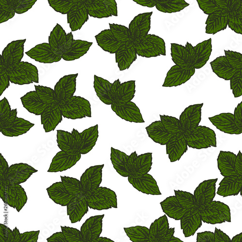 Seamless pattern of mint leaves on white background.