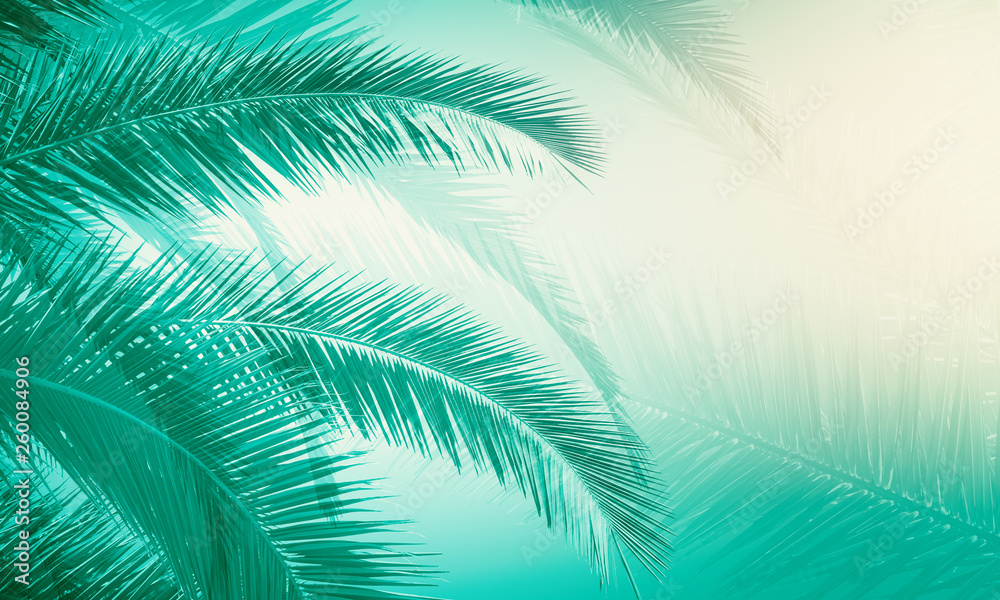 Creative palm tree wallpaper