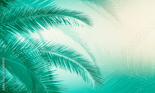 Creative palm tree wallpaper