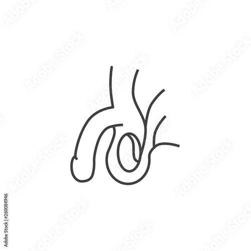 Male Reproductive System Vector Line Icons