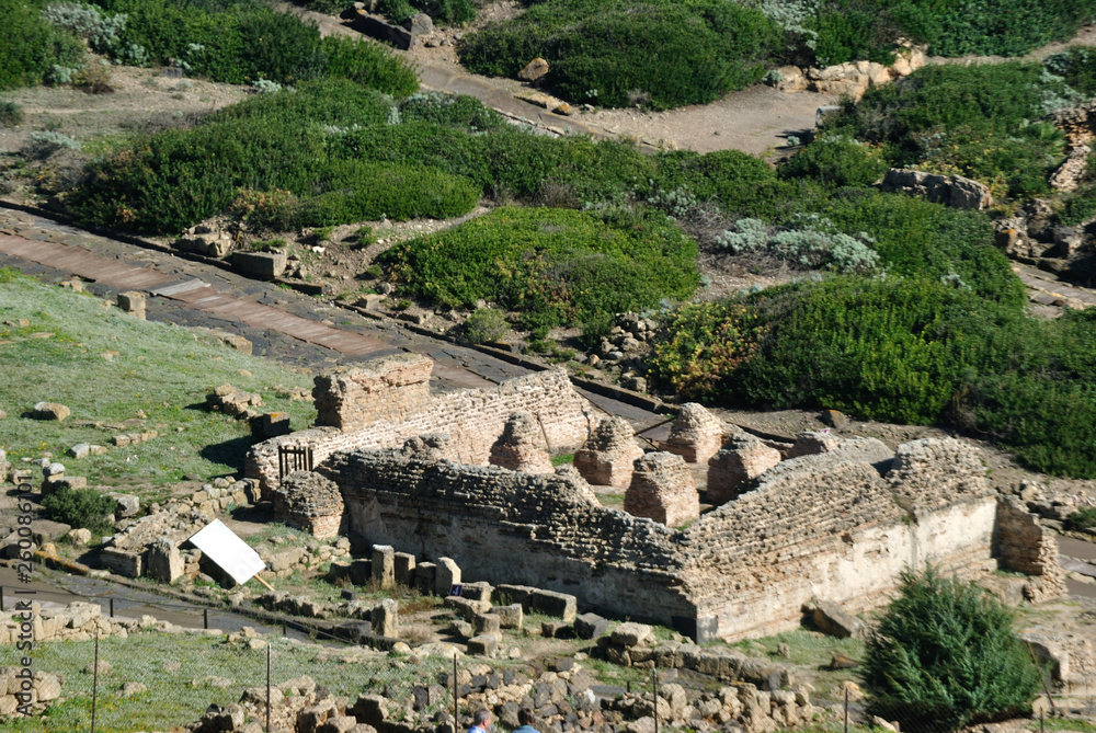 Le rovine archeologiche Punico Romane di Tharros