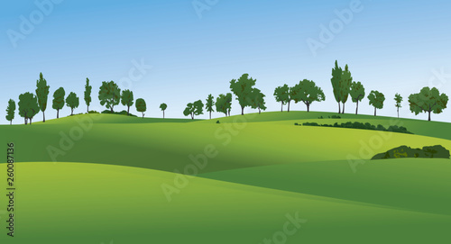 Rural landscape with green fields