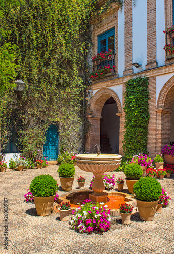 Nice patio with flowers and pond in Cordoba, Spain