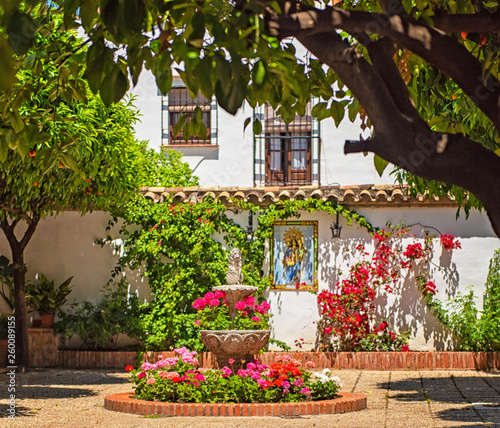 Nice patio with flowers and pond in Cordoba, Spain