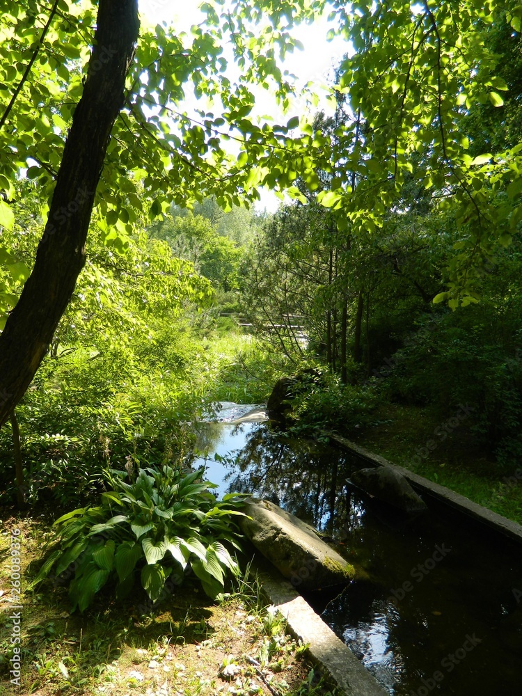 Fototapeta premium ботанический сад