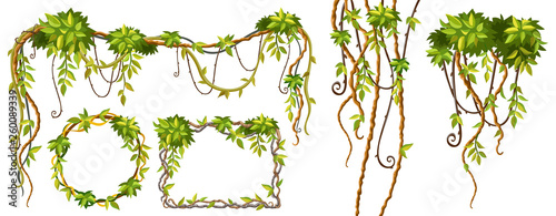 Liana branches and tropical leaves. Set game elements plants of jungle and cartoon frames with space for text. Isolated vector illustration on white background.