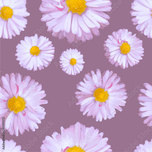 Seamless vector pattern with pink daisies on gark pink background. Flowers in realistic style