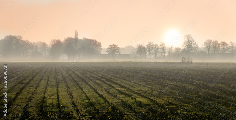 sunrise on a dutch field with corn stubble and a village