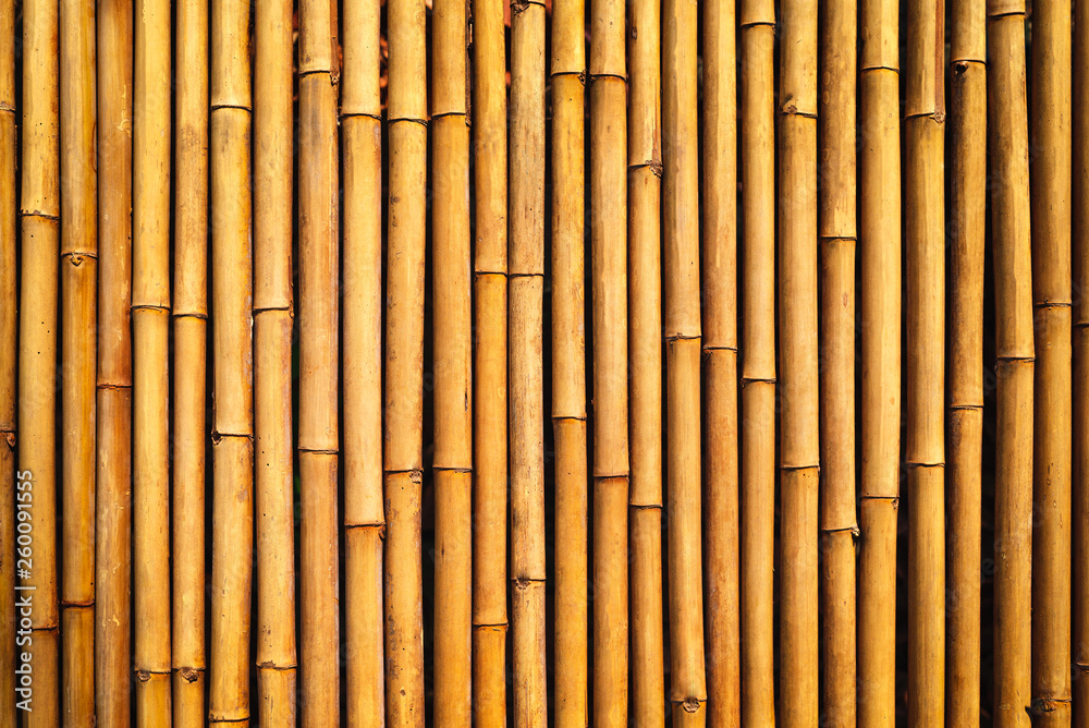 Fototapeta premium Bamboo texture wall background