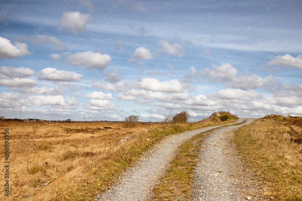 Farm road in a bog with typical vegetation and rocks Farm road in a bog with typical vegetation and rocks