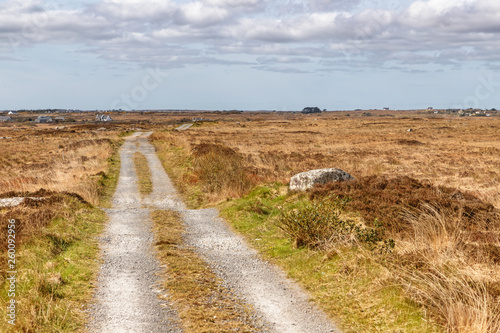 Farm road in a bog with typical vegetation and rocks