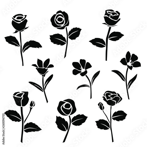 Vector silhouettes of flowers, rose, lily, blossom,  black color isolated on white background