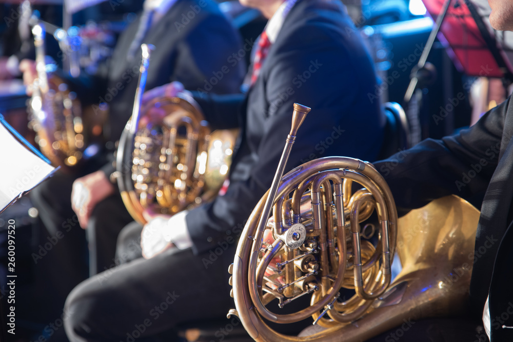 Fototapeta premium musical instruments in the hands of musicians on the Symphony orchestra