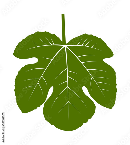 fig leaf