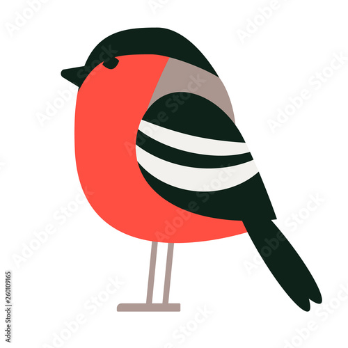 bullfinch flat illustration
