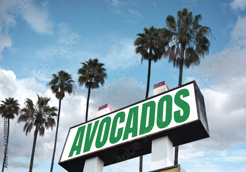 Avocado sign with palm trees