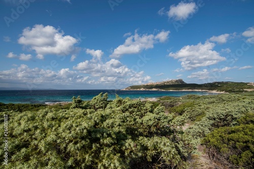 Fototapeta Naklejka Na Ścianę i Meble -  Panorama of the Rena di Ponente beach in Sardinia