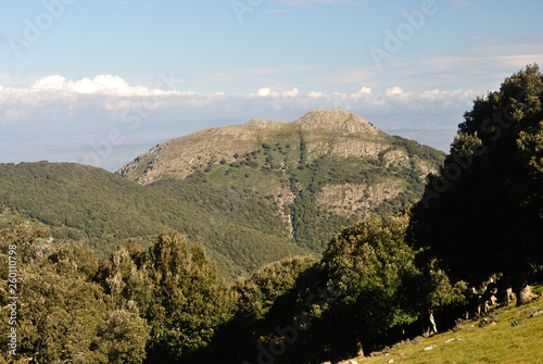 Monte Margiani visto dalla Punta Santu Miali