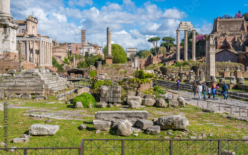 The roman forum with purple flowers during spring time. Rome, Italy. © e55evu