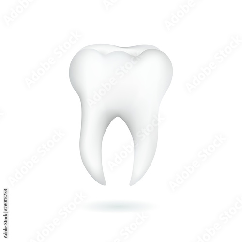 Tooth isolated on white background.