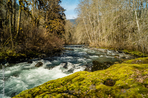  White water rapids on the Dosewallips river in Washington on the Olympic Peninsula