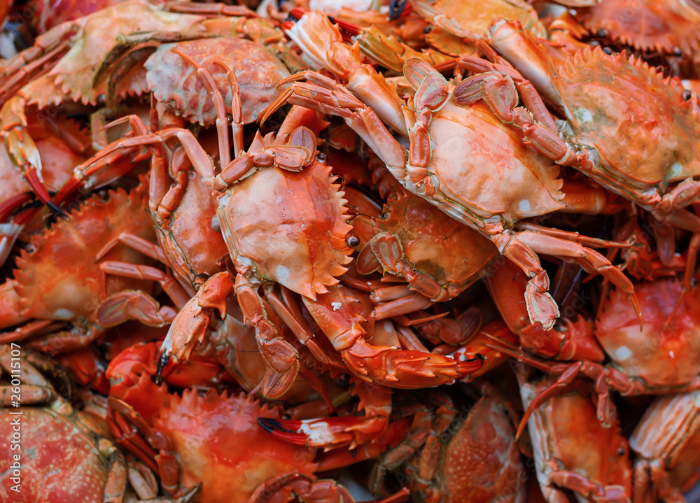 Traditional Thai sea food market, with fresh seafood Traditional Thai sea food market, with fresh seafood