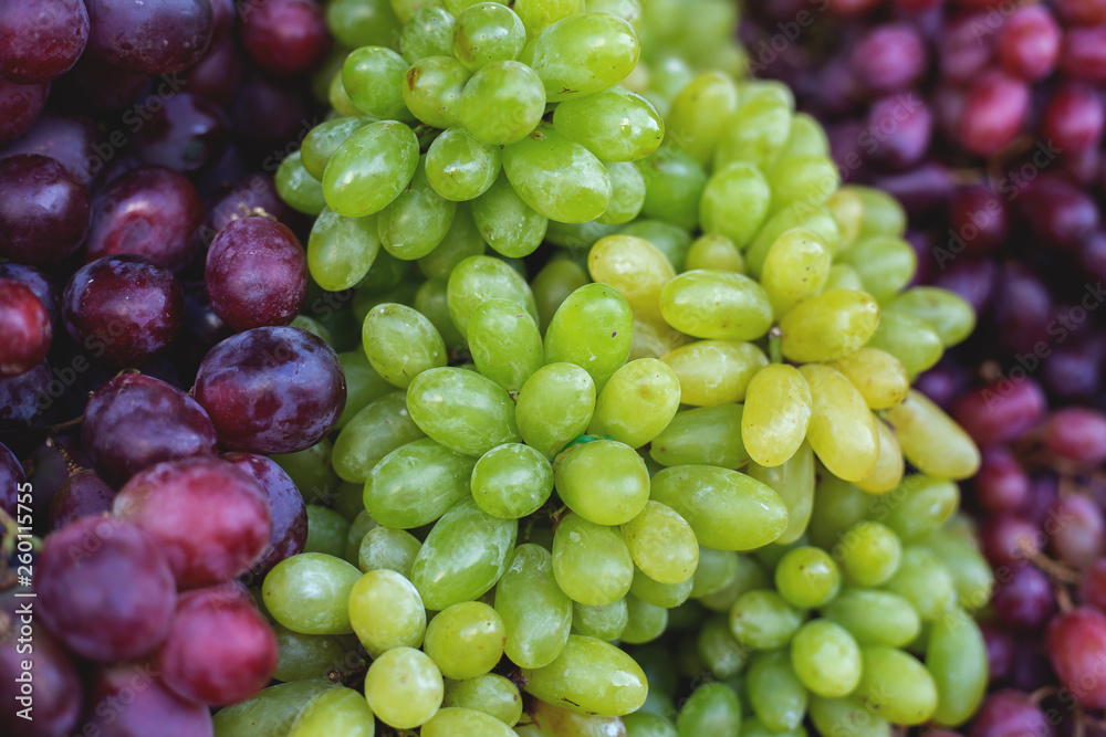 background of different grapes