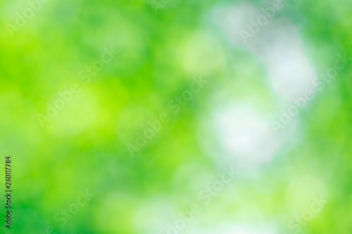 Green bokeh background from nature forest out of focus