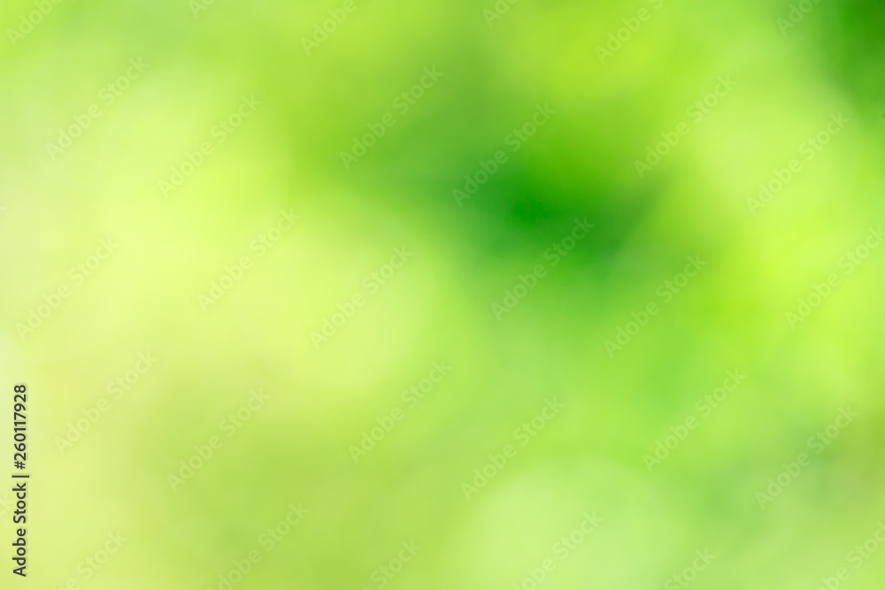 Green bokeh background from nature forest out of focus Green bokeh background from nature forest out of focus