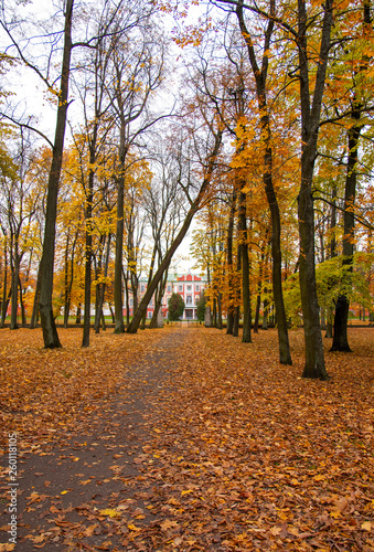View of in autumn  Tallinn  Estonia