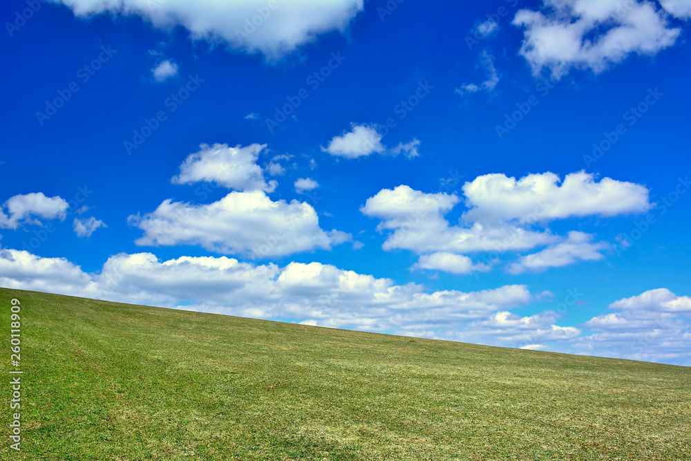 Green field under blue sky with white clouds. Green field under blue sky with white clouds.