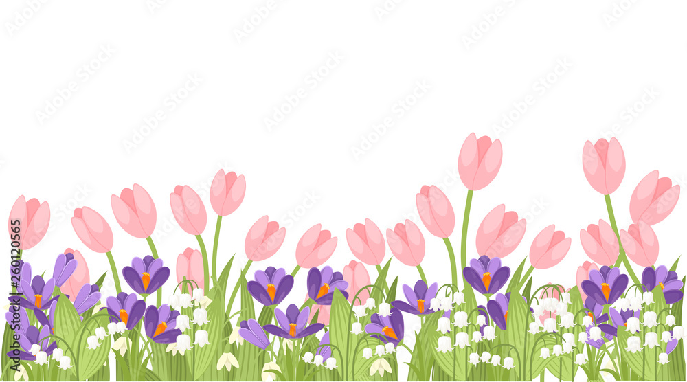 Spring pink Tulip, purple Crocus and white Convallaria majalis. Green flower pattern, grass. Concept for greetings card or advertising flyer. Flat vector illustration on white background