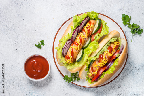 Hot dog with fresh vegetables and ketchup on white top view.