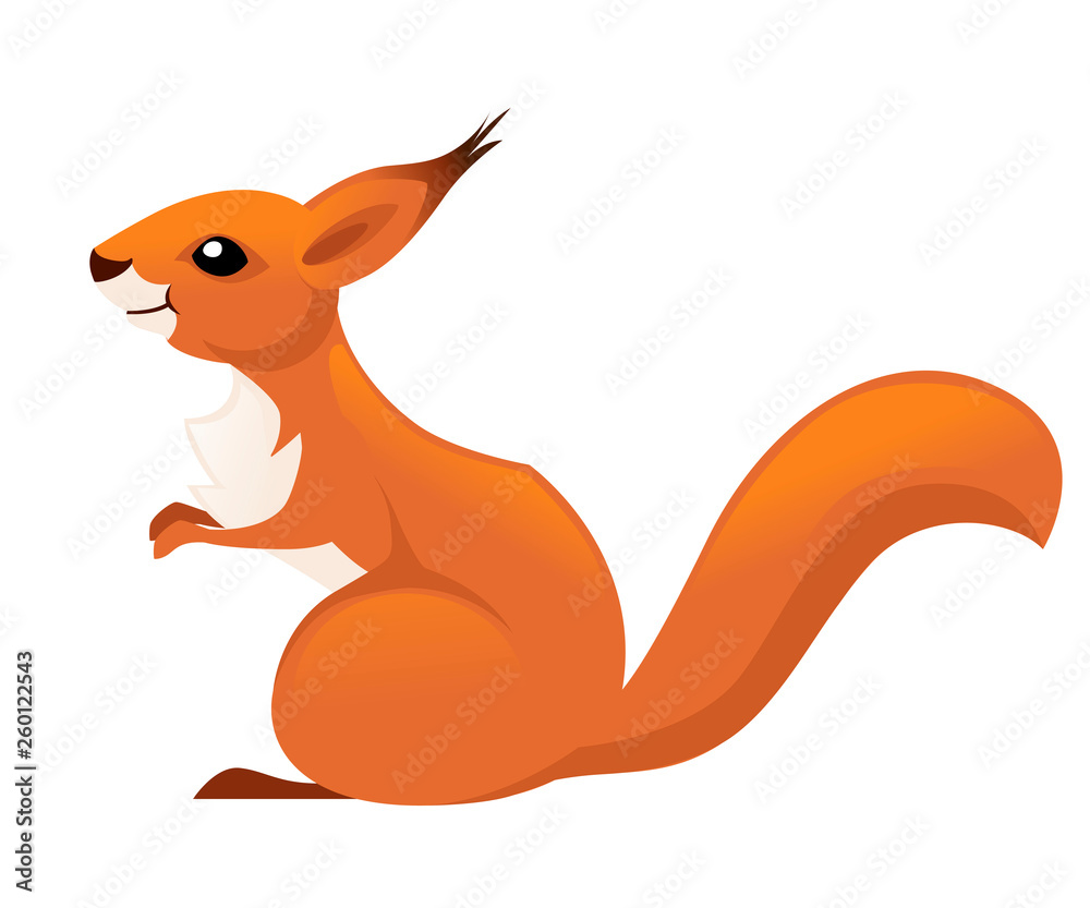 Cute little squirrel sit on floor. Side view. Cartoon animal character design. Flat vector illustration isolated on white background Cute little squirrel sit on floor. Side view. Cartoon animal character design. Flat vector illustration isolated on white background