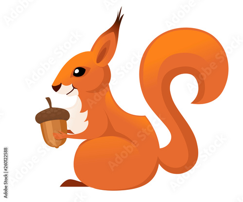 Cute little squirrel sit on floor and holds a acorn. Side view. Cartoon animal character design. Flat vector illustration isolated on white background