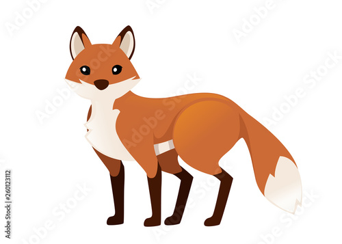 Cute red fox is standing on four legs. Cartoon animal character design. Forest animal. Flat vector illustration isolated on white background