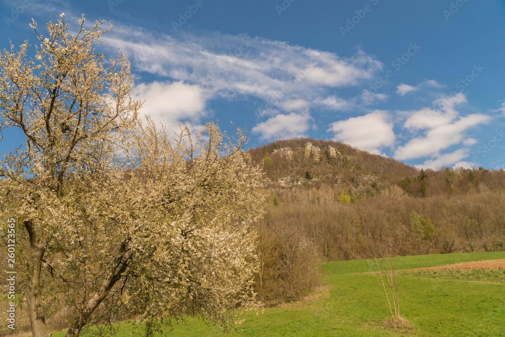 Landscape Landscape
