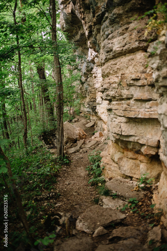 hiking trail under a craning cliff in the forest
