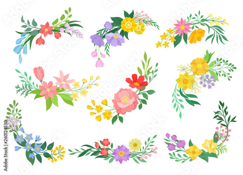 Flowers collection on white background. Spring concept.