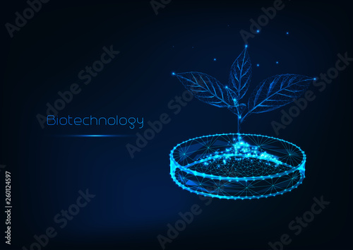 Biotechnology concept futuristic with glowing low polygonal sprout with soil in petri dish.