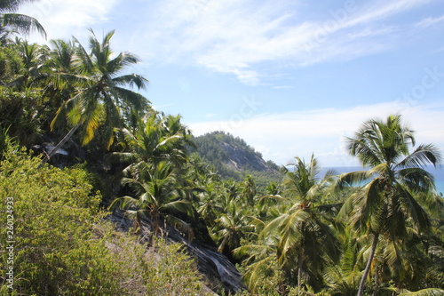 Wallpaper Mural seychelles private island beach palm tree indian ocean Torontodigital.ca