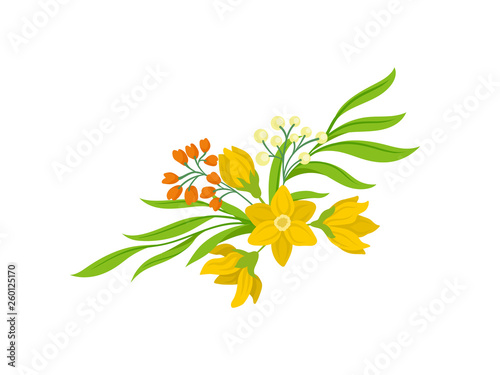 Spring flowers on white background. Floral concept. © Happypictures